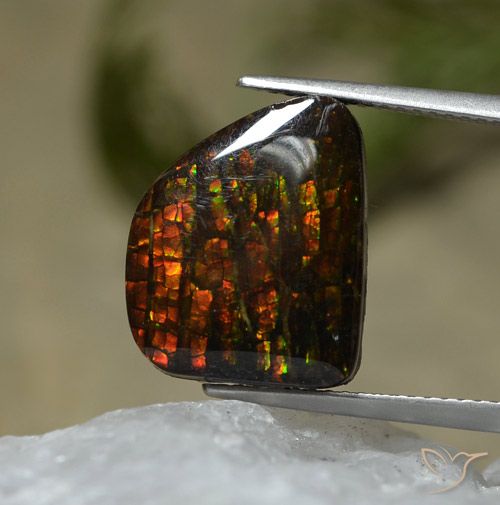 7.67ct Natural Multicolorido amolita, Chique, Opaco