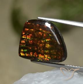 amolita Multicolorido Natural 7.67ct, Chique, Opaco