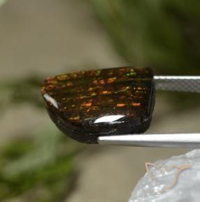 amolita Multicolorido Natural 7.67ct, Chique, Opaco
