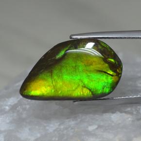 Ammolita multicolorido natural 9,88ct, forma extravagante, opaco
