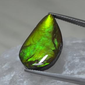 Ammolita multicolorido natural 9,88ct, forma extravagante, opaco
