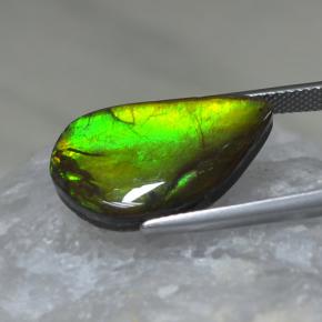 Ammolita multicolorido natural 9,88ct, forma extravagante, opaco