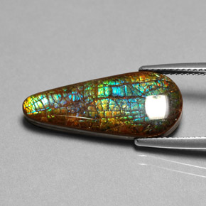 Amolita Multicolorido Natural 8.53ct, Formato de pêra, Opaco