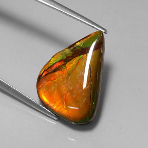 Ammolita multicolorido natural 7,22ct, forma extravagante, opaco