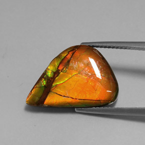 Ammolita multicolorido natural 7,22ct, forma extravagante, opaco