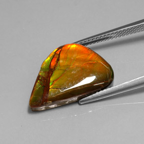 Ammolita multicolorido natural 7,22ct, forma extravagante, opaco