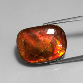 Ammolita multicolorido natural 14,17ct, forma extravagante, opaco