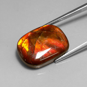 Ammolita multicolorido natural 14,17ct, forma extravagante, opaco