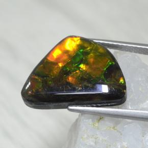 Amolita Multicolorido Natural 8.61ct, Forma extravagante, Opaco
