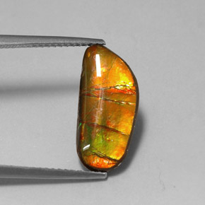 Ammolita multicolorido natural 3,60ct, forma extravagante, opaco