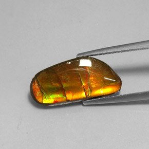 Ammolita multicolorido natural 3,60ct, forma extravagante, opaco