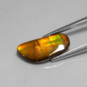 Ammolita multicolorido natural 3,60ct, forma extravagante, opaco