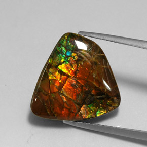 Amolita Multicolorido Natural 11.39ct, Forma extravagante, Opaco
