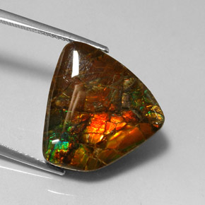 Amolita Multicolorido Natural 11.39ct, Forma extravagante, Opaco