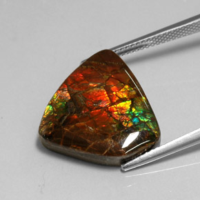Amolita Multicolorido Natural 11.39ct, Forma extravagante, Opaco