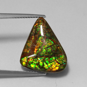 Amolita Multicolorido Natural 7.79ct, Forma extravagante, Opaco