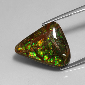 Amolita Multicolorido Natural 7.79ct, Forma extravagante, Opaco