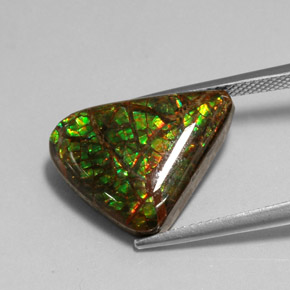 Amolita Multicolorido Natural 7.79ct, Forma extravagante, Opaco