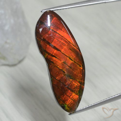 15.54ct Natural Multicolorido amolita, Chique, Opaco