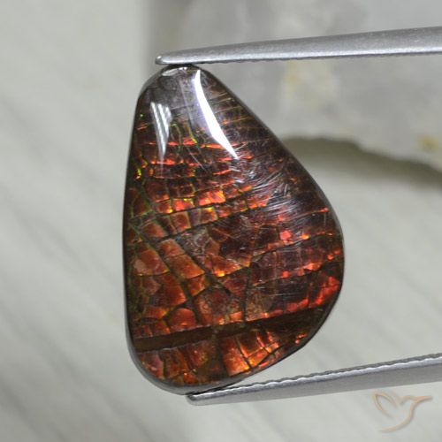 8.09ct Natural Multicolorido amolita, Chique, Opaco