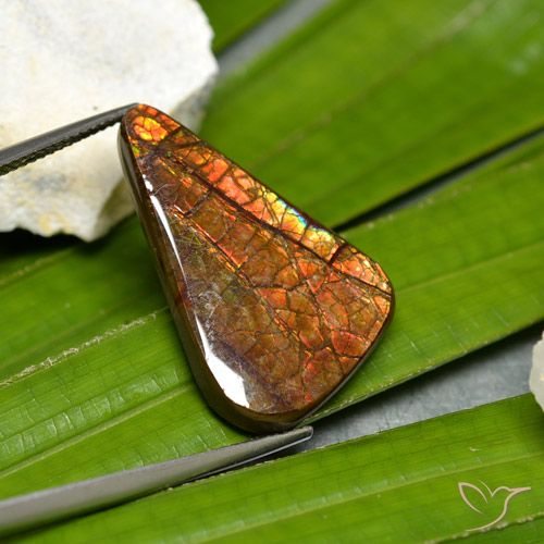 15.23ct Natural Multicolorido amolita, Chique, Opaco