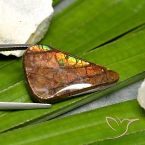 amolita Multicolorido Natural 15.23ct, Chique, Opaco