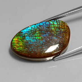 Amolita Multicolorido Natural 16.45ct, Forma extravagante, Opaco