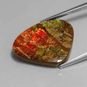 Ammolita multicolorido natural 17,71ct, forma extravagante, opaco