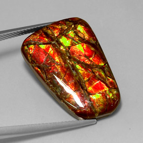 Ammolita multicolorido natural 18,54ct, forma extravagante, opaco