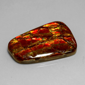 Ammolita multicolorido natural 18,54ct, forma extravagante, opaco