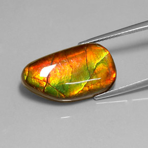 Amolita Multicolorido Natural 10.78ct, Forma extravagante, Opaco