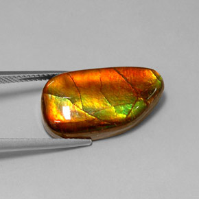 Amolita Multicolorido Natural 10.78ct, Forma extravagante, Opaco