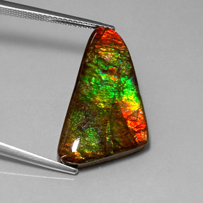 Ammolita multicolorido natural 12,85ct, forma extravagante, opaco