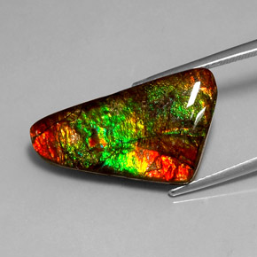 Ammolita multicolorido natural 12,85ct, forma extravagante, opaco