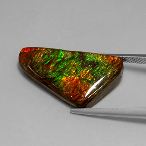 Ammolita multicolorido natural 12,85ct, forma extravagante, opaco