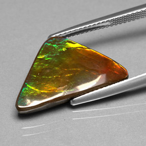 Ammolita multicolorido natural 6,98ct, forma extravagante, opaco