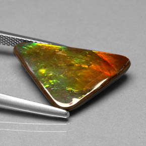 Ammolita multicolorido natural 6,98ct, forma extravagante, opaco