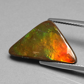 Ammolita multicolorido natural 6,98ct, forma extravagante, opaco
