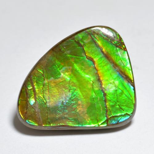 Ammolita multicolorido natural 7,29ct, forma extravagante, opaco