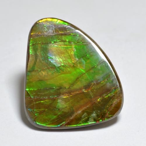 Ammolita multicolorido natural 7,29ct, forma extravagante, opaco