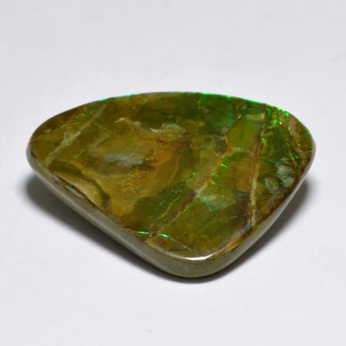 Ammolita multicolorido natural 7,29ct, forma extravagante, opaco