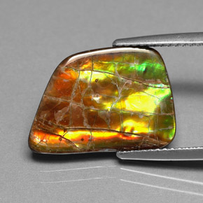 Ammolita multicolorido natural 6,82ct, forma extravagante, opaco