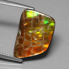 Ammolita multicolorido natural 6,82ct, forma extravagante, opaco