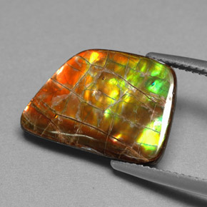 Ammolita multicolorido natural 6,82ct, forma extravagante, opaco