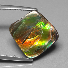 Ammolita multicolorido natural 6,25ct, forma extravagante, opaco