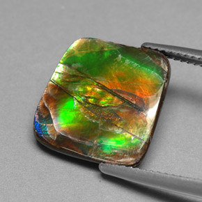 Ammolita multicolorido natural 6,25ct, forma extravagante, opaco
