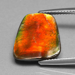 Ammolita multicolorido natural 5,17ct, forma extravagante, opaco