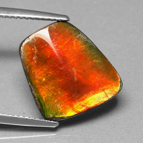 Ammolita multicolorido natural 5,17ct, forma extravagante, opaco