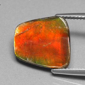 Ammolita multicolorido natural 5,17ct, forma extravagante, opaco