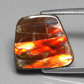 Ammolita multicolorido natural 6,70ct, forma extravagante, opaco